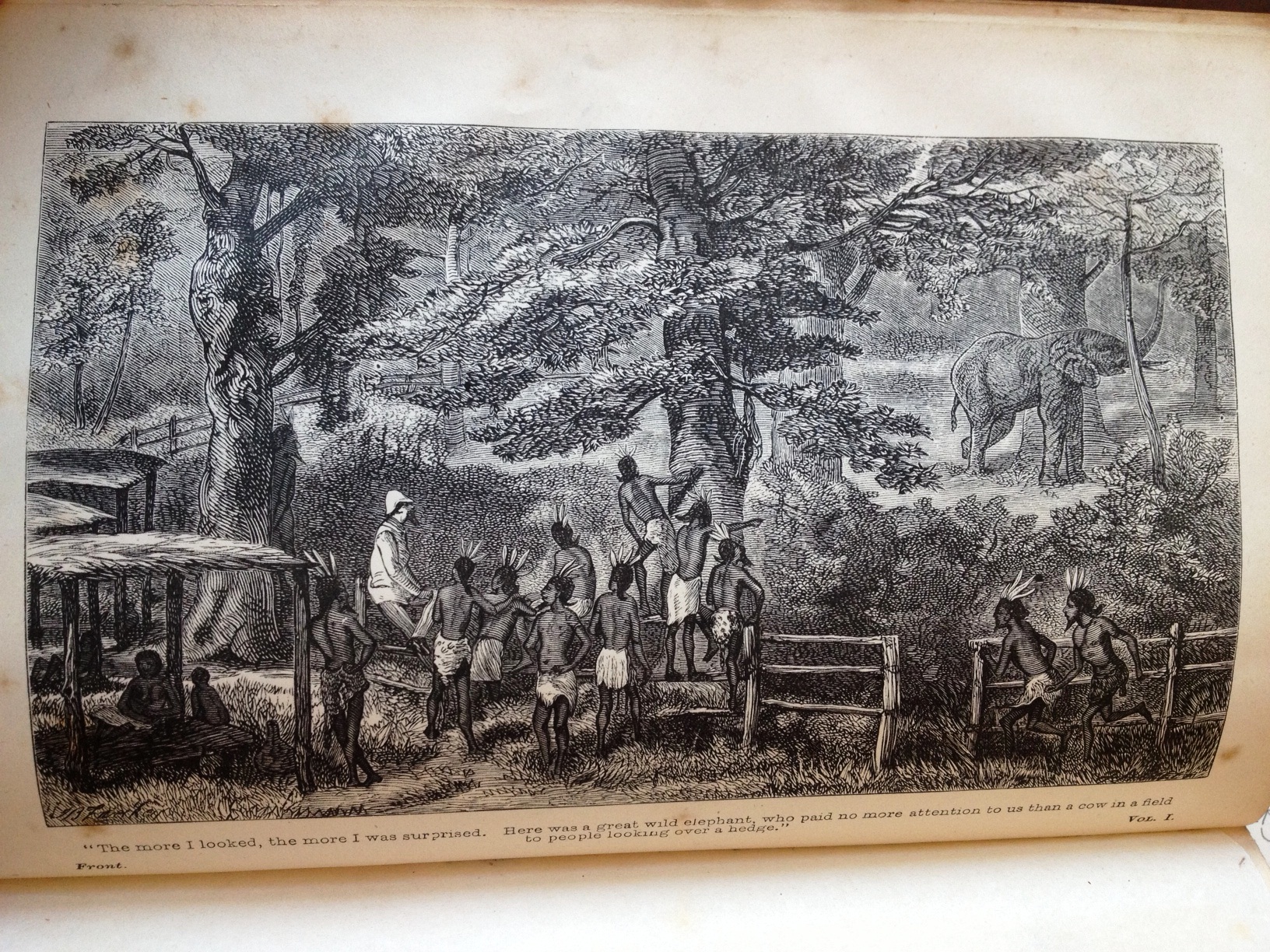 Engraved frontispiece to The African Sketch-Book: "The more I looked, the more I was surprised. Here was a great wild elephant, who paid no more attention to us than a cow in a field to people looking over the hedge."