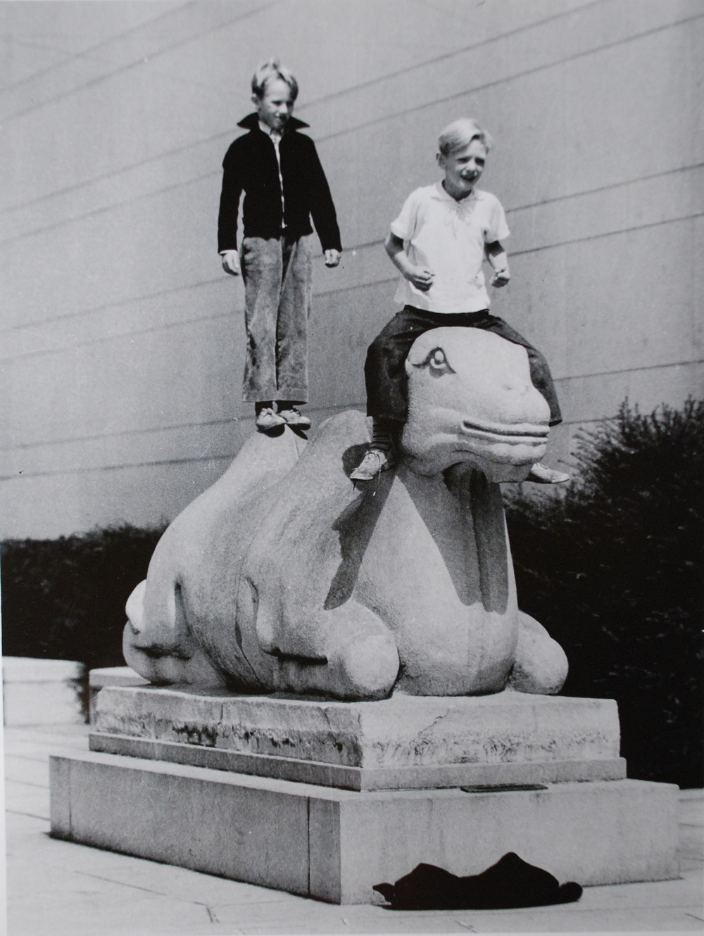 Standing on the Camel