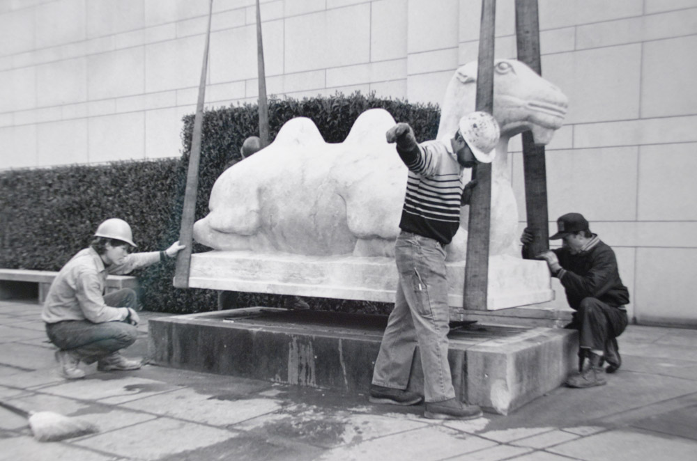 Camel replica being installed