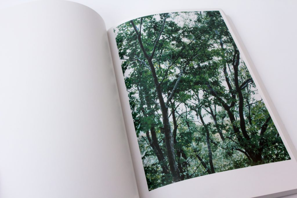 Page from <em>Mushrooms from the Forest 2011</em> by Takashi Homma