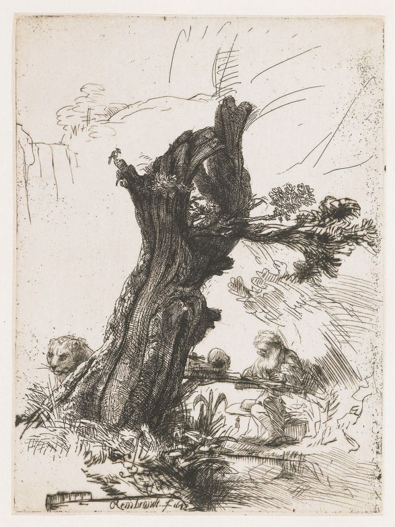 Saint Jerome Beside a Pollard Willow, 1648, Rembrandt van Rijn