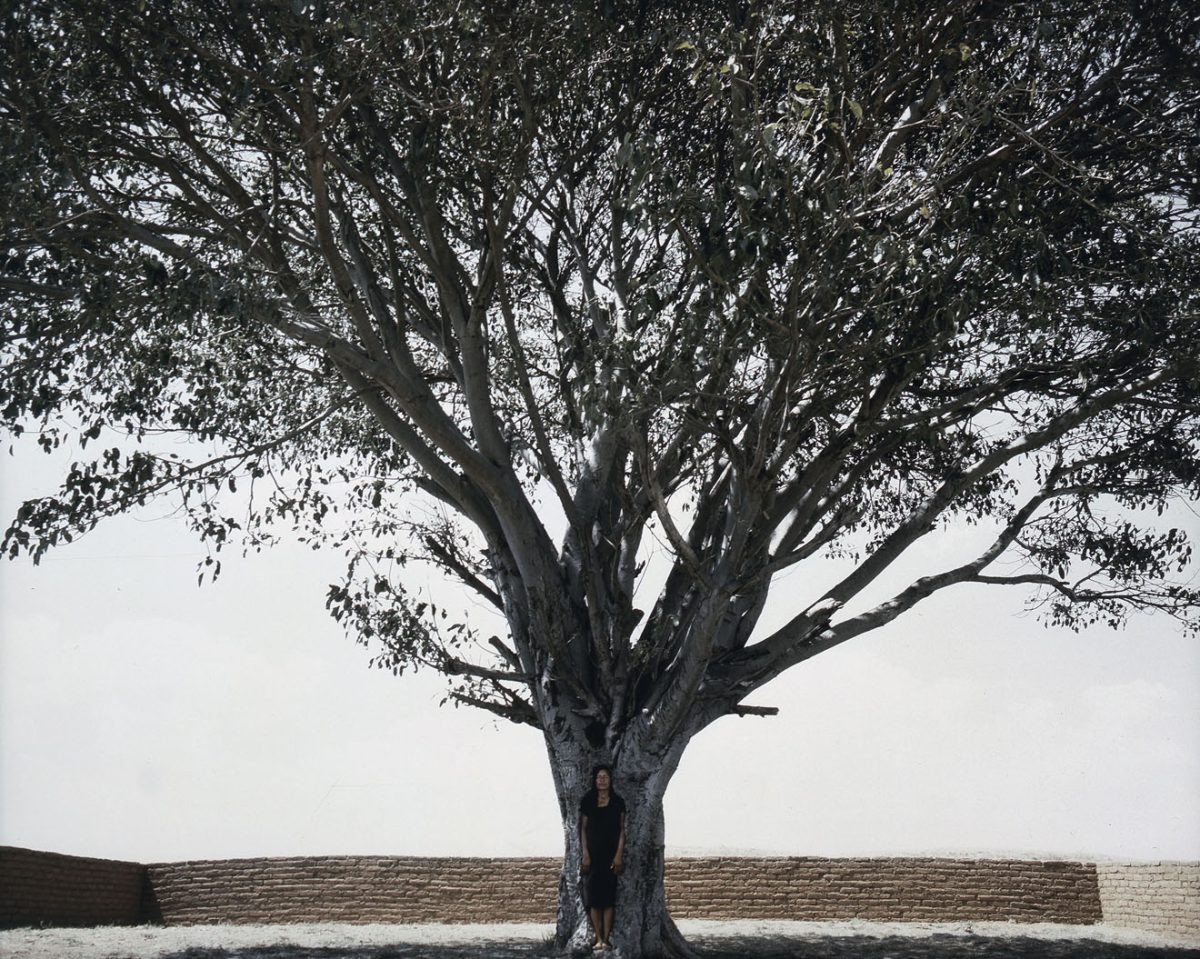 “Woman, Life, Freedom”: Shirin Neshat’s Tooba