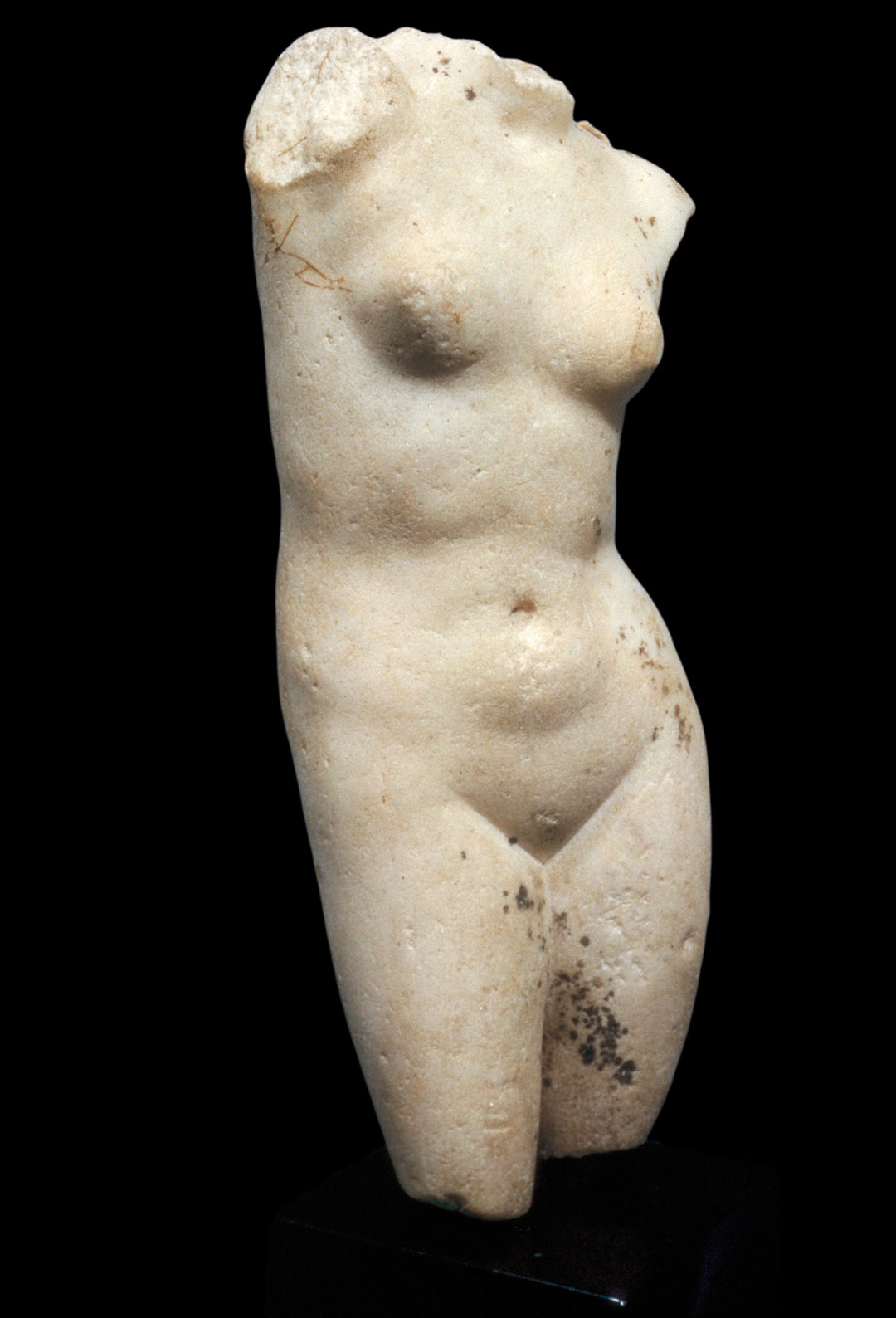 Object of the Week: Aphrodite Torso