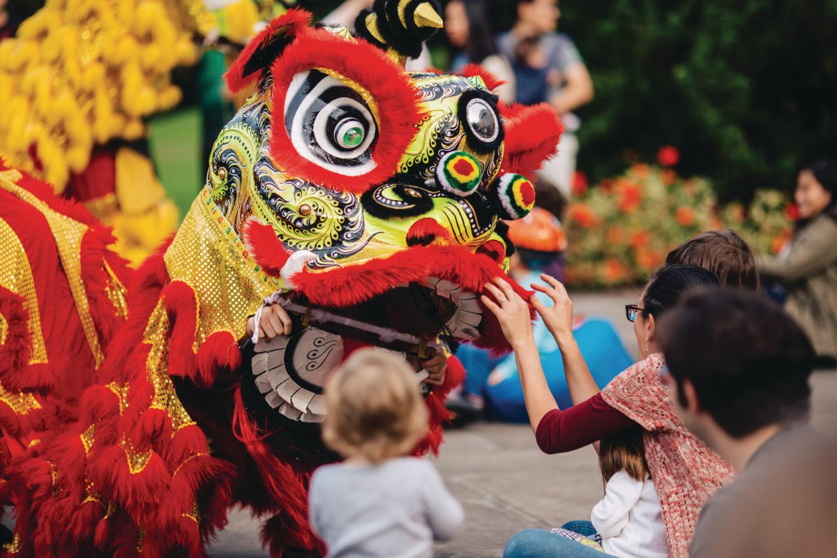 22nd Annual Lunar New Year at OMCA: Year of the Rabbit - Oakland Museum of  California (OMCA)