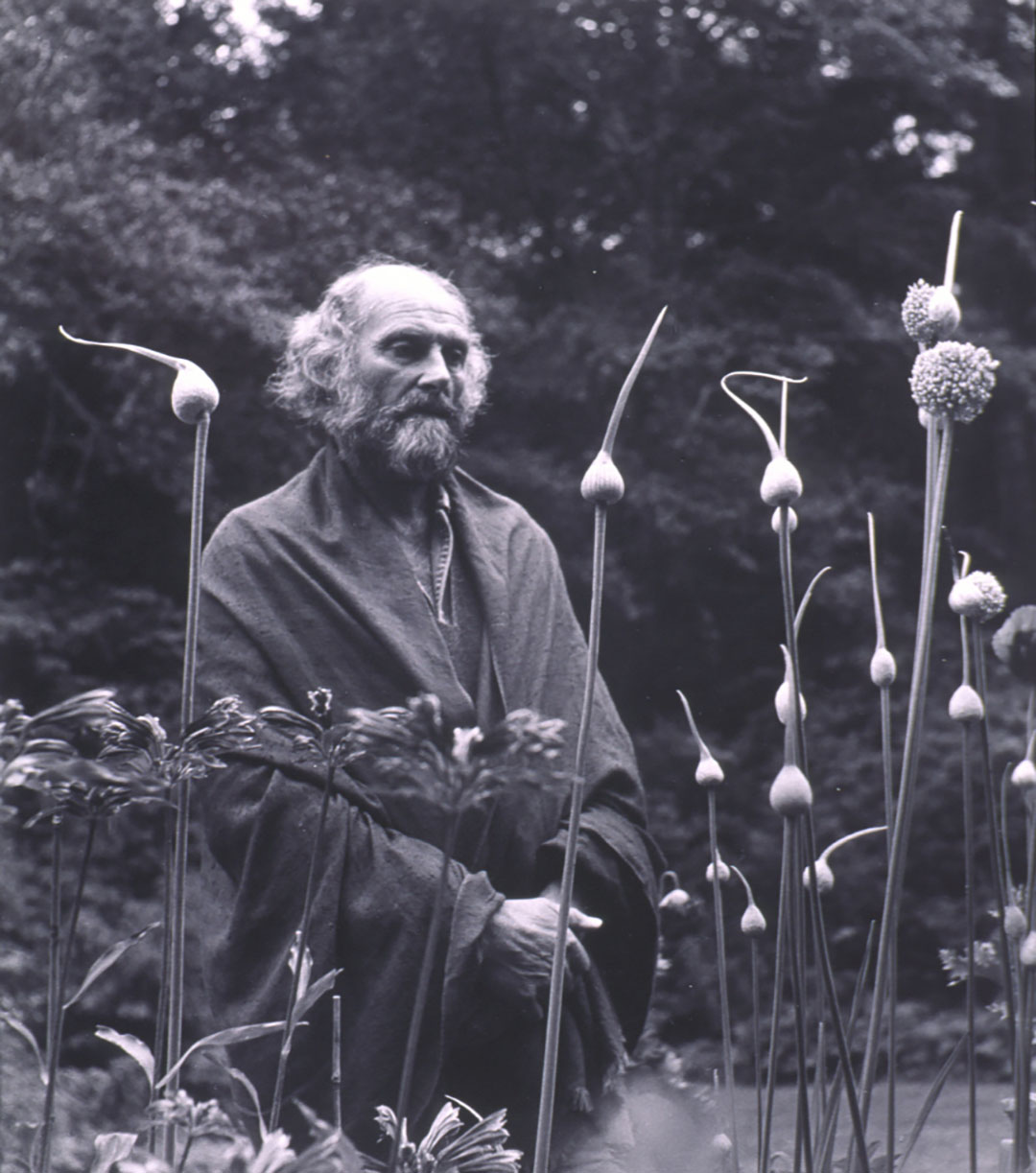 Imogen Cunningham: Morris Graves In His Leek Garden