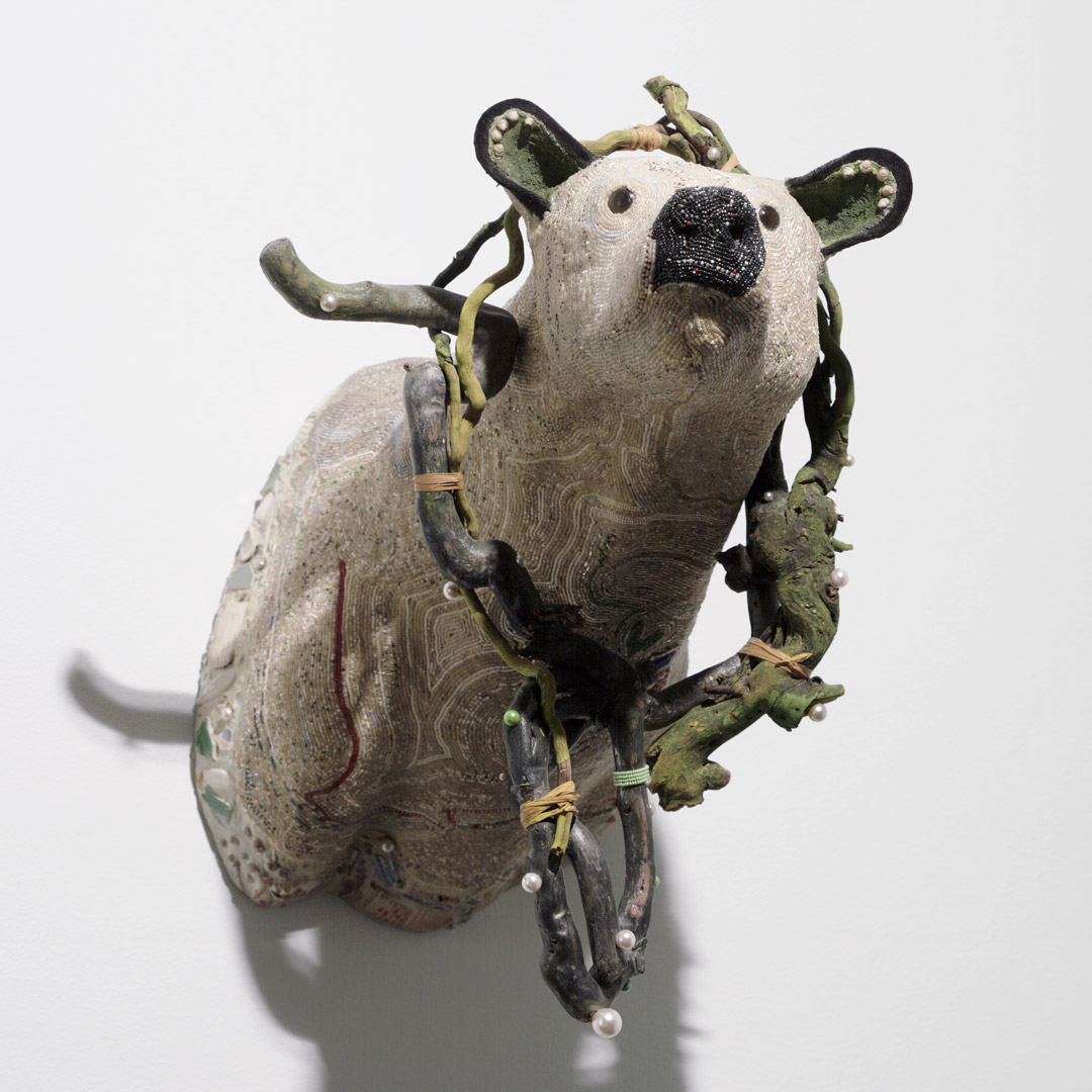 Object of the Week: Sea Bear