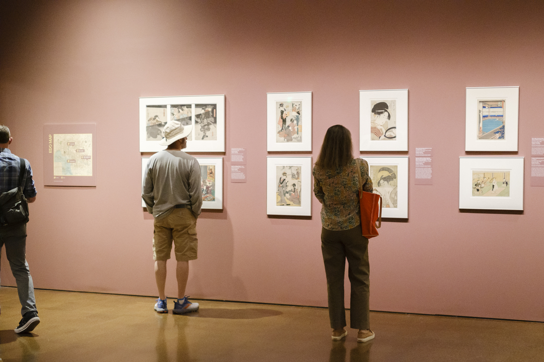 PacSci Now: Drawing Poppies and Their Pollinator Friends - Pacific