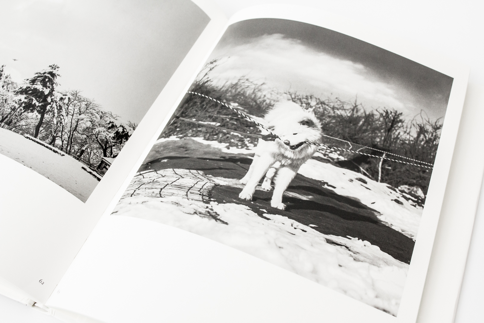 Japanese Photobooks from the Collection of Chris Harris, Part 2