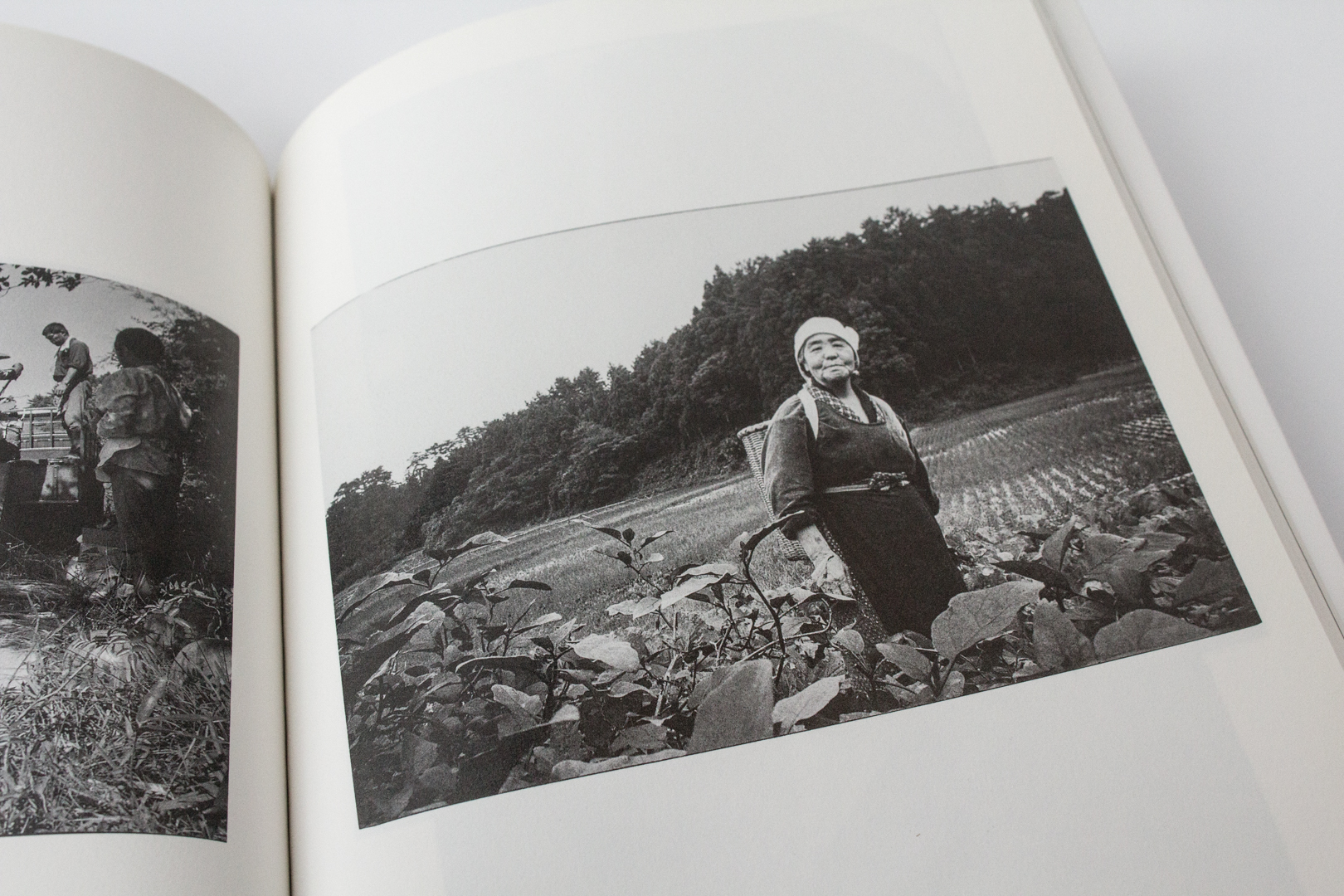 Japanese Photobooks from the Collection of Chris Harris, Part 3