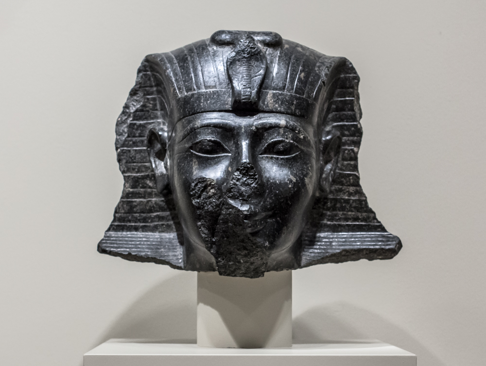Object of the Week: Head from a statue of Pharaoh Thutmosis III
